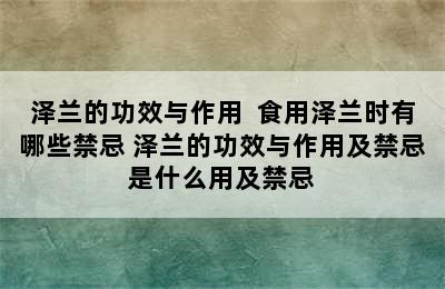 泽兰的功效与作用  食用泽兰时有哪些禁忌 泽兰的功效与作用及禁忌是什么用及禁忌